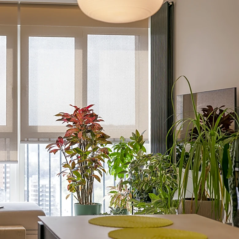 Amazon Has A Nature-Inspired Blind Alternative To Add Privacy To Windows