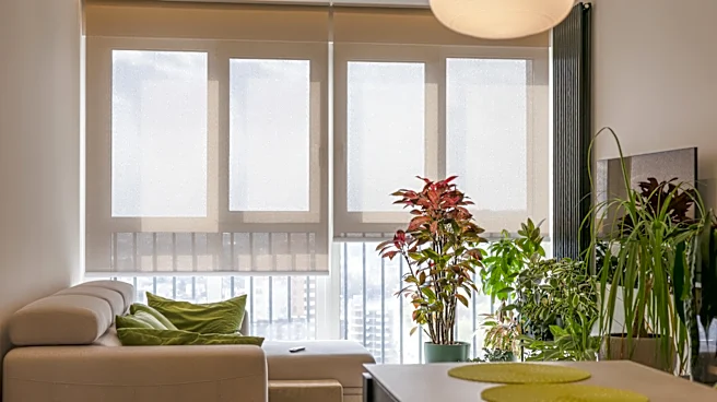 Amazon Has A Nature-Inspired Blind Alternative To Add Privacy To Windows