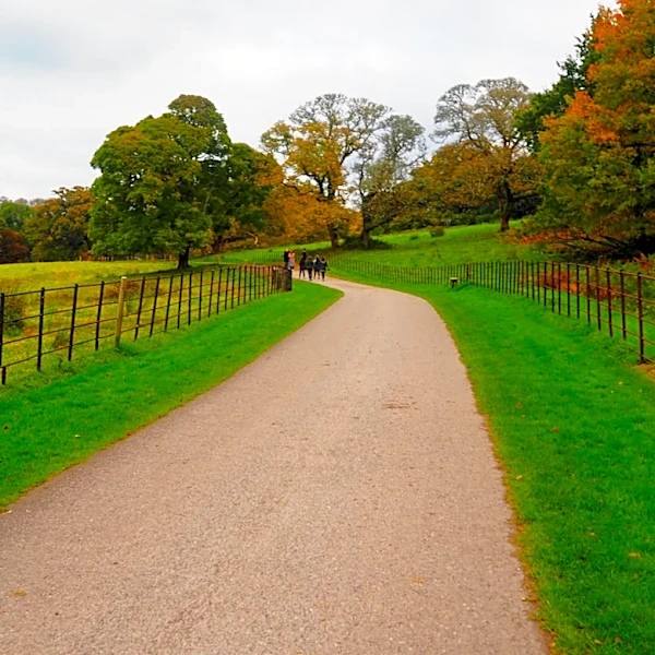 Why The Grass Along Your Driveway Edging Is Turning Brown (& How To Revive It)