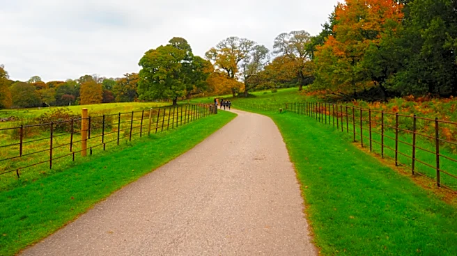 Why The Grass Along Your Driveway Edging Is Turning Brown (& How To Revive It)