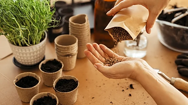 Save Extra Seeds From Spoiling With An Easy Solution That's Practically Free