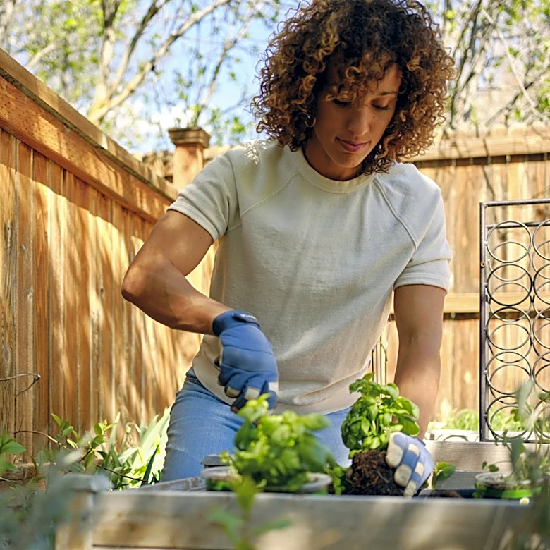 How To Repel Ants From Your Yard And Garden Using Herbs They Can't Stand