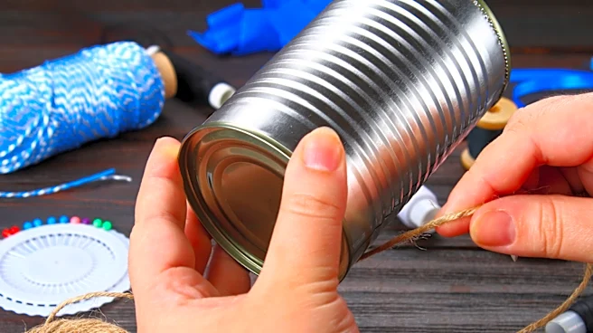 Turn Empty Soup Cans Into Floral Countertop Storage