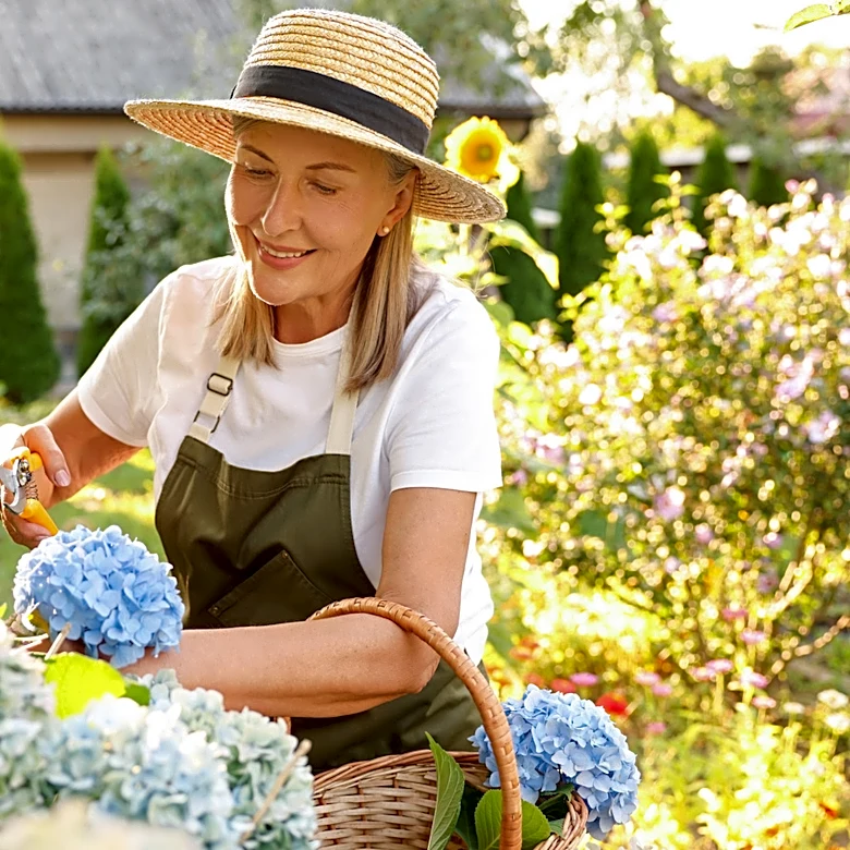 The Companion Flower For Hydrangeas That Matches Perfectly