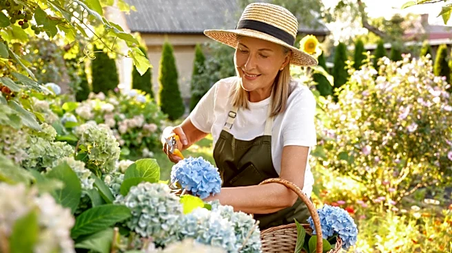 The Companion Flower For Hydrangeas That Matches Perfectly