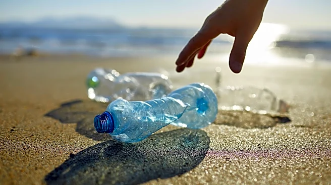 Turn A Plastic Bottle Into A Storage Solution With A Matching Lid With A Clever DIY