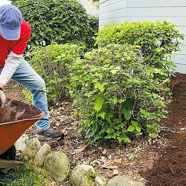 Not Driveway Edging Or A Patio: The Idea To Add Visual Interest To Your Whole Yard