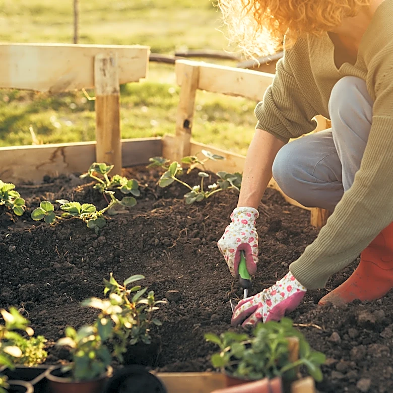 Celebrate USA's 250th Birthday With A Garden That Honors The Country's Founders
