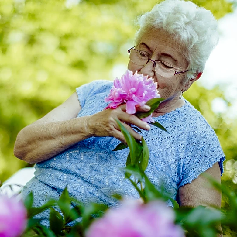 Grow The Best, Blooming Peonies With An Organic Fertilizer