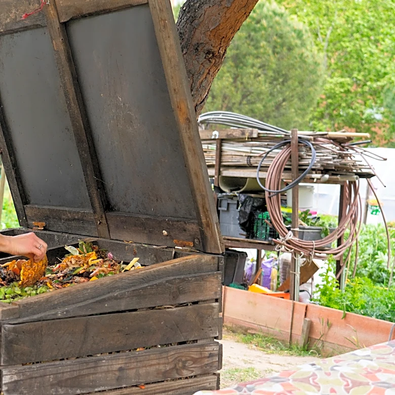 Not Banana Peels: The Salty Kitchen Scrap To Add To Your Compost