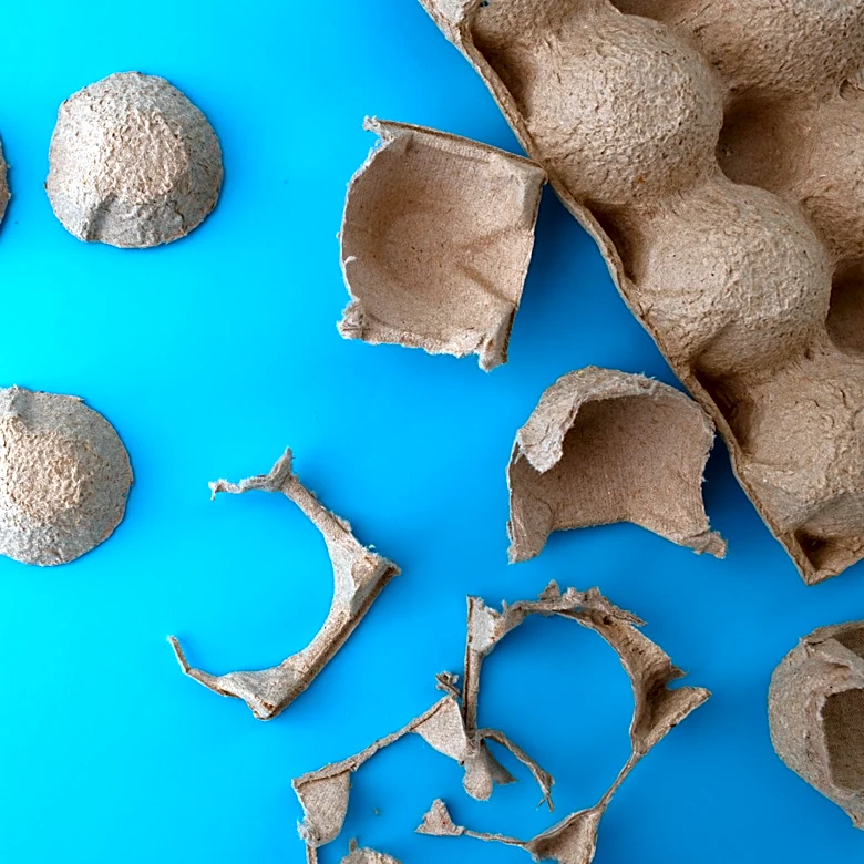 Use Old Egg Cartons For Budget-Friendly Wall Decor With This Savvy DIY