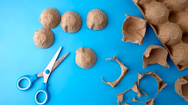 Use Old Egg Cartons For Budget-Friendly Wall Decor With This Savvy DIY