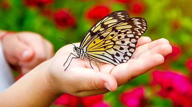 Not Zinnia, Not Honeysuckle: The Fresh-Smelling Flower Pollinators Love