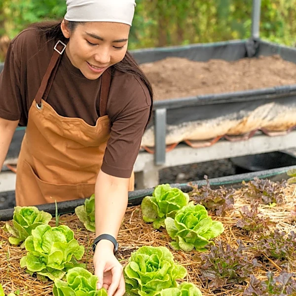 Not Coffee Grounds: The Popular Kitchen Scrap You Can Use As DIY Fertilizer For Vegetables