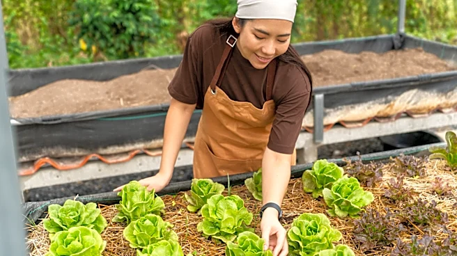 Not Coffee Grounds: The Popular Kitchen Scrap You Can Use As DIY Fertilizer For Vegetables