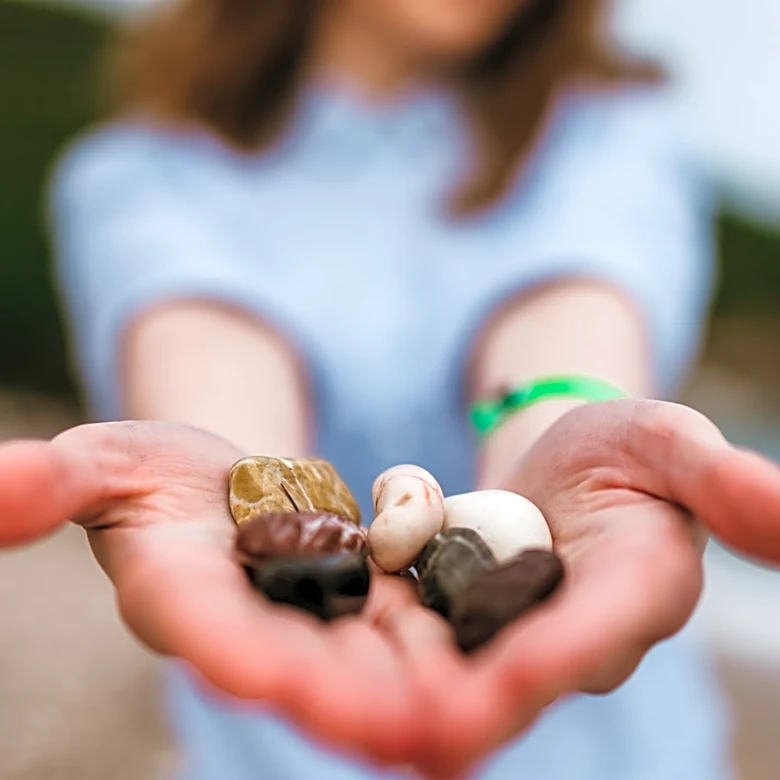 Use Old Stones To Create Budget-Friendly Pavers With A Unique DIY