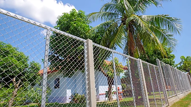Not Honeysuckle Or Wisteria: The Vining Plant That Turns Your Chain-Link Fence Into A Living Wall