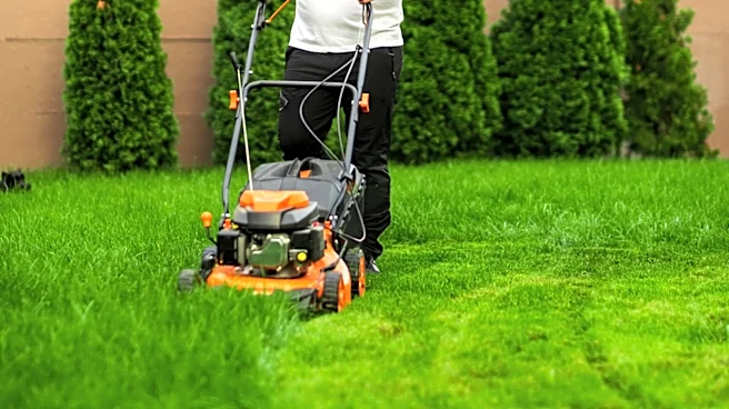Not Stripes Or Diamonds: The Mowing Pattern To Try For A Bold Lawn That Stands Out