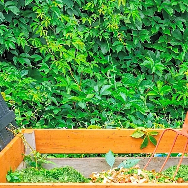 Not Egg Shells Or Coffee Grounds: The Fruity Scrap To Add To Compost