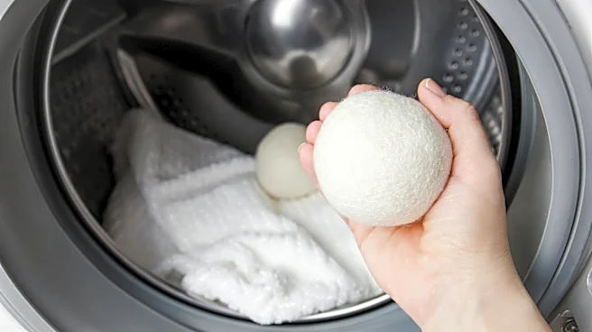 They're Not All Made The Same: Where To Buy Consumer Reports' Top Pick For Dryer Balls