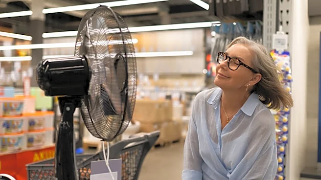 Costco's Home Fan Sale Is Perfect For Cooling Off This July 4th