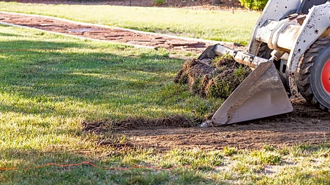 5 Best Lawn Solutions For Curb Appeal That Aren't Grass