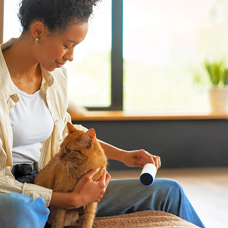 Why You Really Don't Need A Lint Roller Anymore