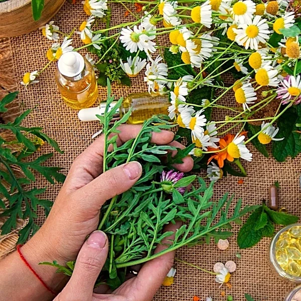 More Than Medicinal: This Summer-Blooming Herb Draws Pollinators And Smells Fantastic