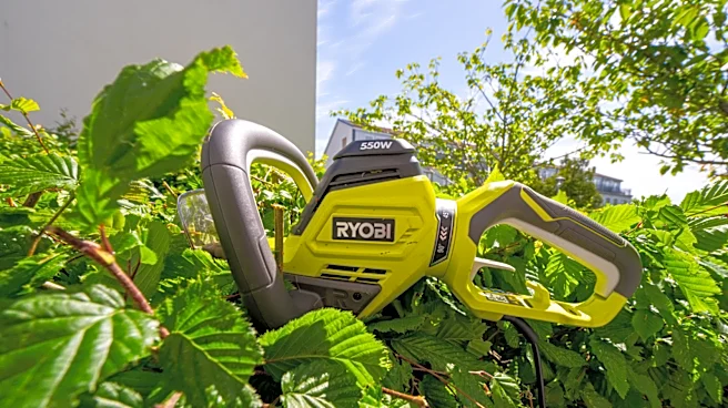 13 Highly-Rated Ryobi Finds Worth Buying For Summer