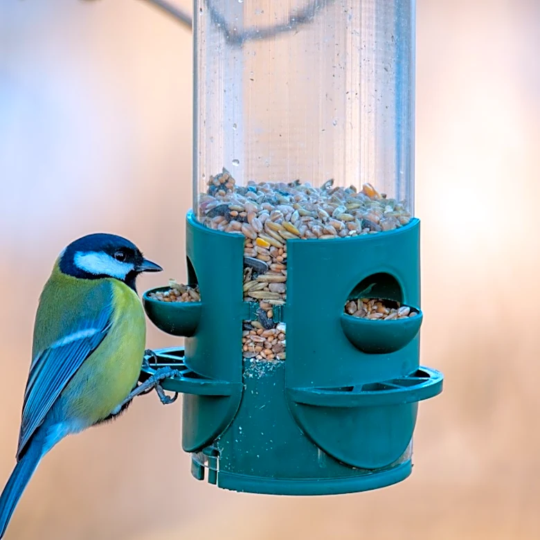 The Bird Feeder Alternative That'll Be A Big Mistake To Use In Your Yard