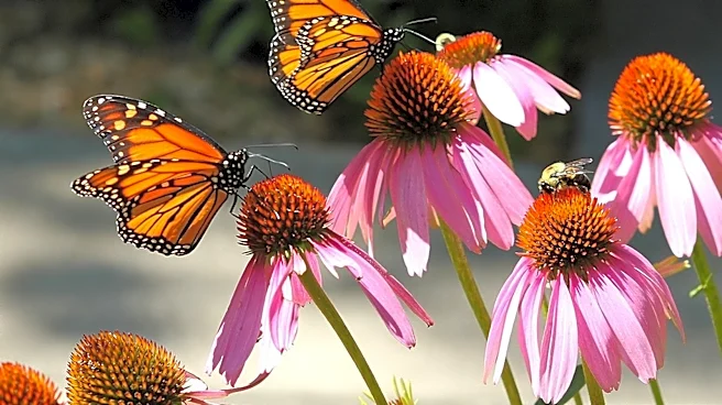 The Planting Trick That Makes It 10x Easier For Pollinators To Find Your Garden