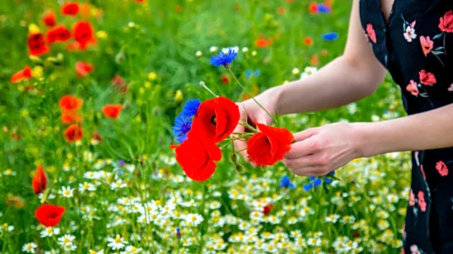 Red, White, And EW: If Your Fourth Of July Flowers Don't Pop, Your Garden Is A Flop