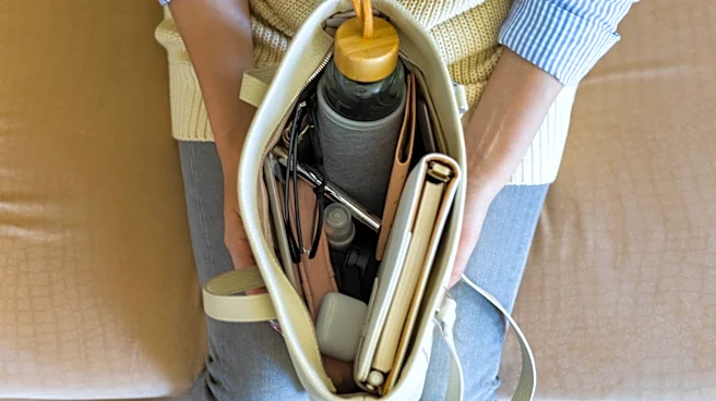 Ditch Purse Clutter: Keep Items Neat & Tidy With An Easy Solution From Amazon