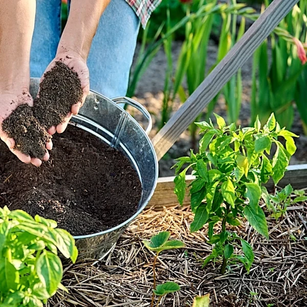 The Lesser Known Scrap To Add To Compost — It's Not Corn Husks Or Coffee Grounds