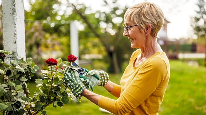 No More Roses: The Pink, Fresh-Smelling Flower For Your Garden
