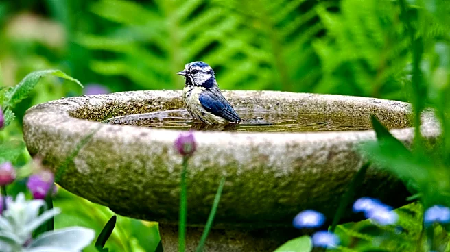 Ditch Traditional Bird Baths For A Lowe's Find That Doubles As Adorable Garden Decor