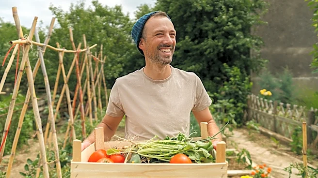 Get A Better Vegetable Patch With This Sunny Annual Flower