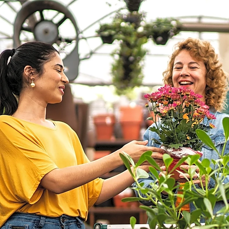 The Lower-Maintenance Alternative To Grow If You Like Hydrangeas