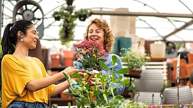 The Lower-Maintenance Alternative To Grow If You Like Hydrangeas