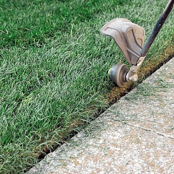 The Amazon Find That'll Make Landscape And Driveway Edging Easier