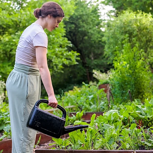 Woman Uses Affordable Materials To Create A Functional Garden Bed Cover That Looks Good