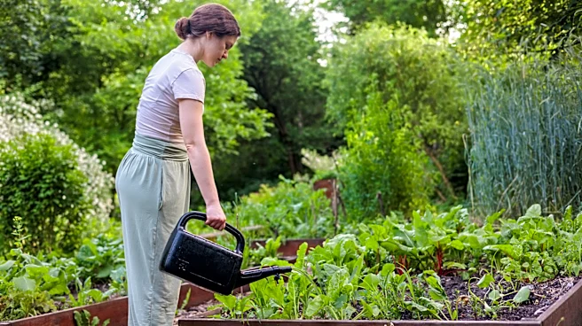 Woman Uses Affordable Materials To Create A Functional Garden Bed Cover That Looks Good