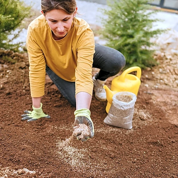 Can You Plant Grass Seed In July?