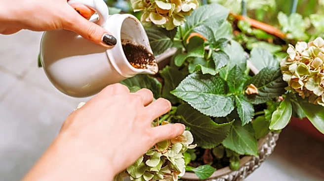 Stop Wasting Coffee Grounds On Plants — Use Them For This Cozy DIY Instead