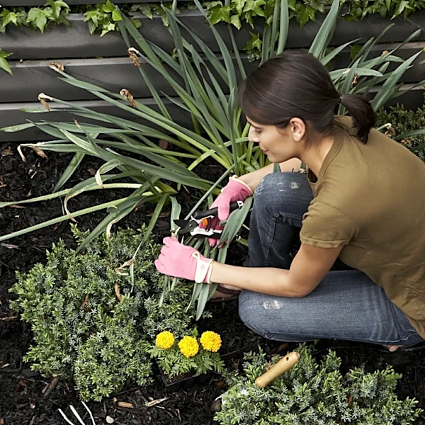 Easily Sharpen Your Garden Shears With A Tool You Already Own