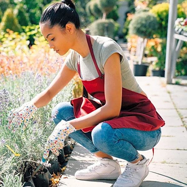 Don't Pinch Back This Summer-Blooming Herb If You Want More Bees In The Garden