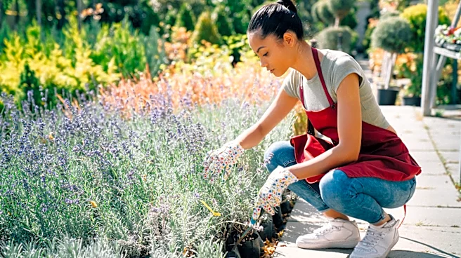 Don't Pinch Back This Summer-Blooming Herb If You Want More Bees In The Garden