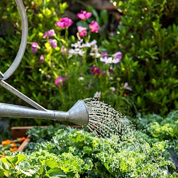 Not Compost: The Yard Scrap To Add To DIY Fertilizer For Thriving Leafy Greens
