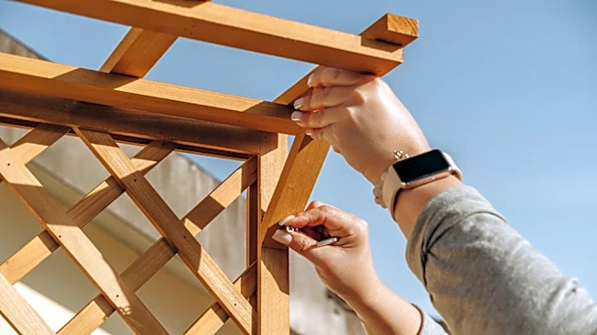 Goodbye Store-Bought Trellises: Use This Sunny Annual Flower To Support Your Vines Instead