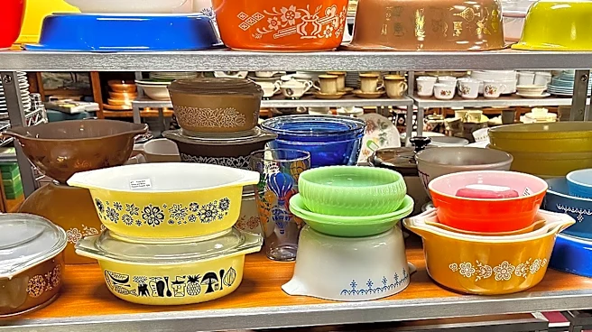 The Rare Pyrex Bowl With A Nature-Inspired Pattern That Collectors Dream Of Finding